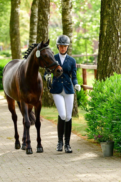 Goldene Schärpe Ponys in Löningen  4+5.6.22 | 05062022 Vormustern_069 