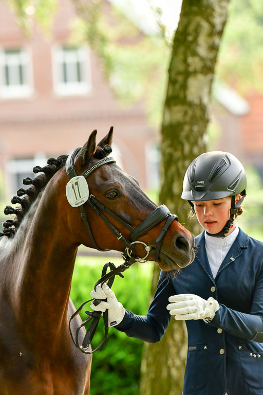 Goldene Schärpe Ponys in Löningen  4+5.6.22 | 05062022 Vormustern_070 