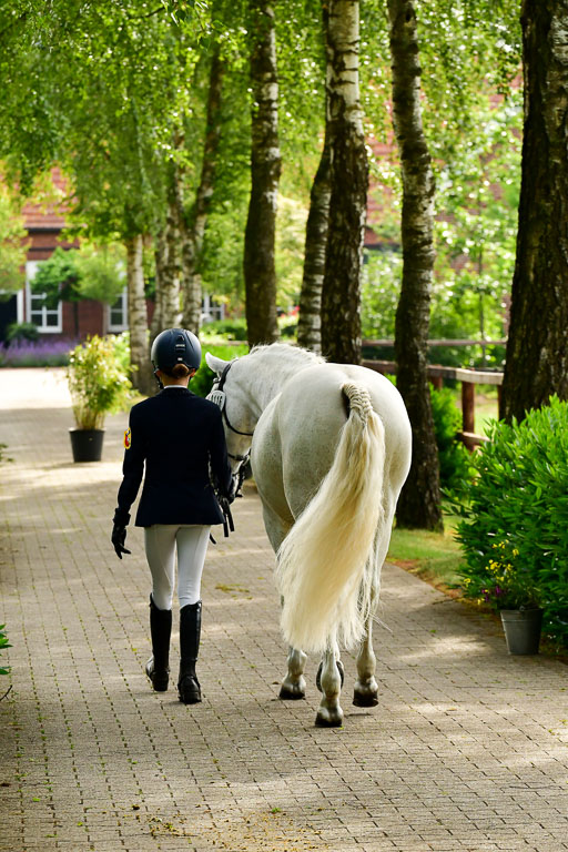 Goldene Schärpe Ponys in Löningen  4+5.6.22 | 05062022 Vormustern_077 