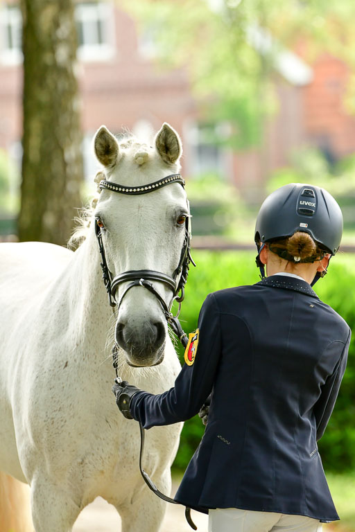Goldene Schärpe Ponys in Löningen  4+5.6.22 | 05062022 Vormustern_081 