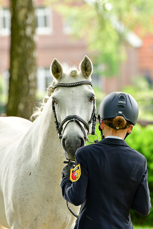 Goldene Schärpe Ponys in Löningen  4+5.6.22 | 05062022 Vormustern_082 