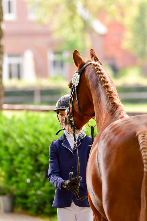 Goldene Schärpe Ponys in Löningen  4+5.6.22 | 05062022 Vormustern_087 