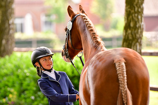 Goldene Schärpe Ponys in Löningen  4+5.6.22 | 05062022 Vormustern_088 