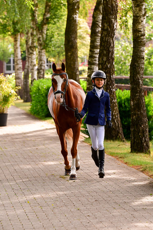 Goldene Schärpe Ponys in Löningen  4+5.6.22 | 05062022 Vormustern_091 