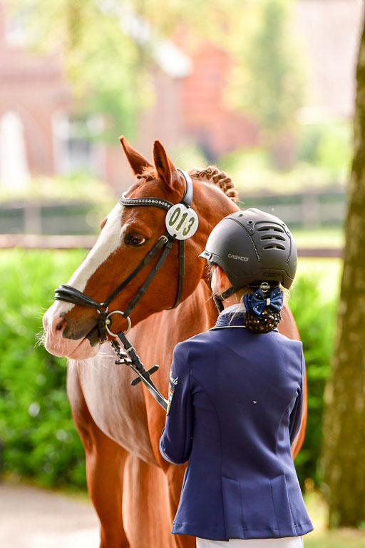 Goldene Schärpe Ponys in Löningen  4+5.6.22 | 05062022 Vormustern_094 