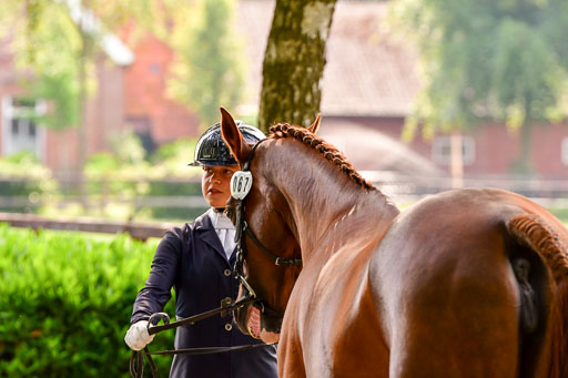 Goldene Schärpe Ponys in Löningen  4+5.6.22 | 05062022 Vormustern_097 