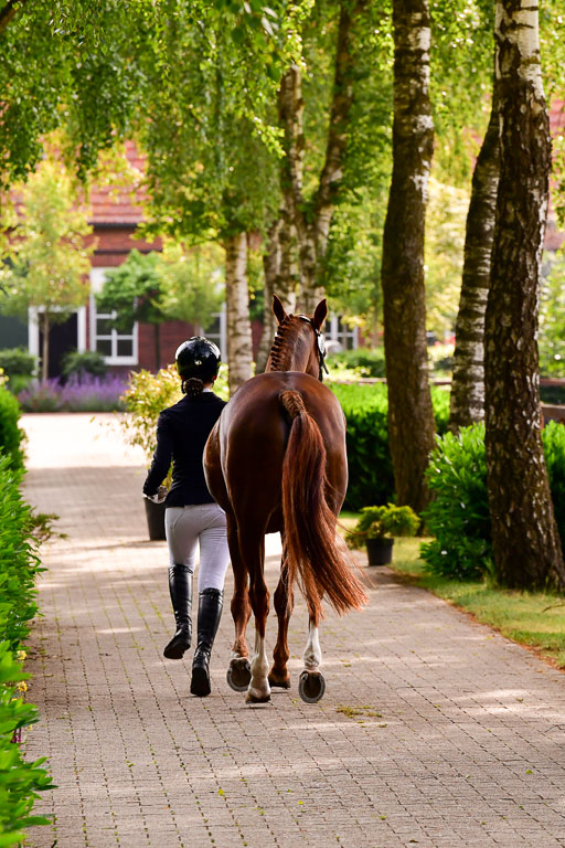 Goldene Schärpe Ponys in Löningen  4+5.6.22 | 05062022 Vormustern_099 