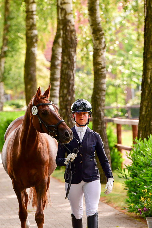 Goldene Schärpe Ponys in Löningen  4+5.6.22 | 05062022 Vormustern_101 