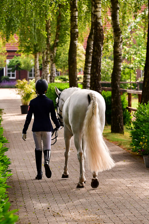 Goldene Schärpe Ponys in Löningen  4+5.6.22 | 05062022 Vormustern_103 