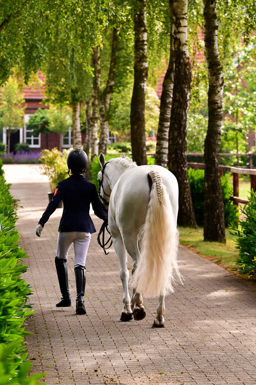Goldene Schärpe Ponys in Löningen  4+5.6.22 | 05062022 Vormustern_104 