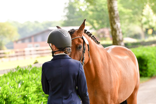 Goldene Schärpe Ponys in Löningen  4+5.6.22 | 05062022 Vormustern_113 