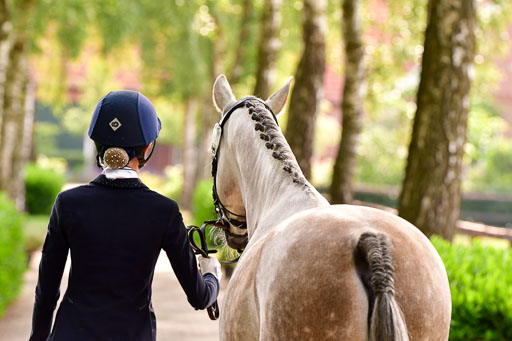Goldene Schärpe Ponys in Löningen  4+5.6.22 | 05062022 Vormustern_115 