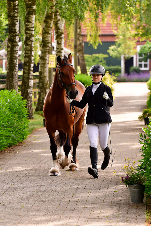 Goldene Schärpe Ponys in Löningen  4+5.6.22 | 05062022 Vormustern_126 
