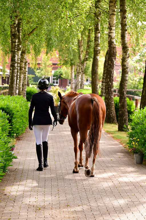 Goldene Schärpe Ponys in Löningen  4+5.6.22 | 05062022 Vormustern_130 