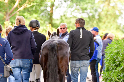 Goldene Schärpe Ponys in Löningen  4+5.6.22 | 05062022 Vormustern_155 