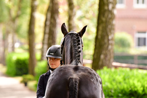 Goldene Schärpe Ponys in Löningen  4+5.6.22 | 05062022 Vormustern_157 