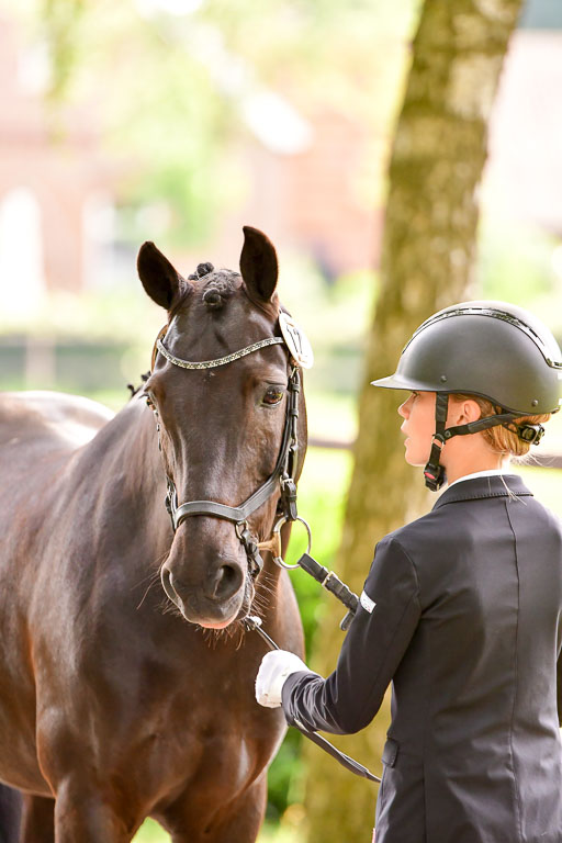 Goldene Schärpe Ponys in Löningen  4+5.6.22 | 05062022 Vormustern_163 