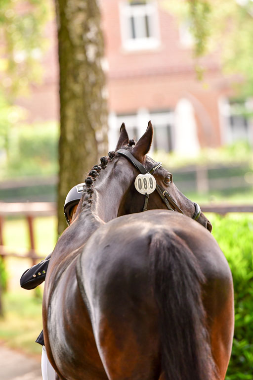 Goldene Schärpe Ponys in Löningen  4+5.6.22 | 05062022 Vormustern_167 