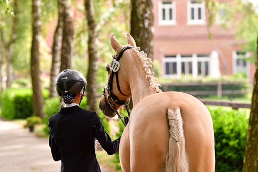 Goldene Schärpe Ponys in Löningen  4+5.6.22 | 05062022 Vormustern_178 