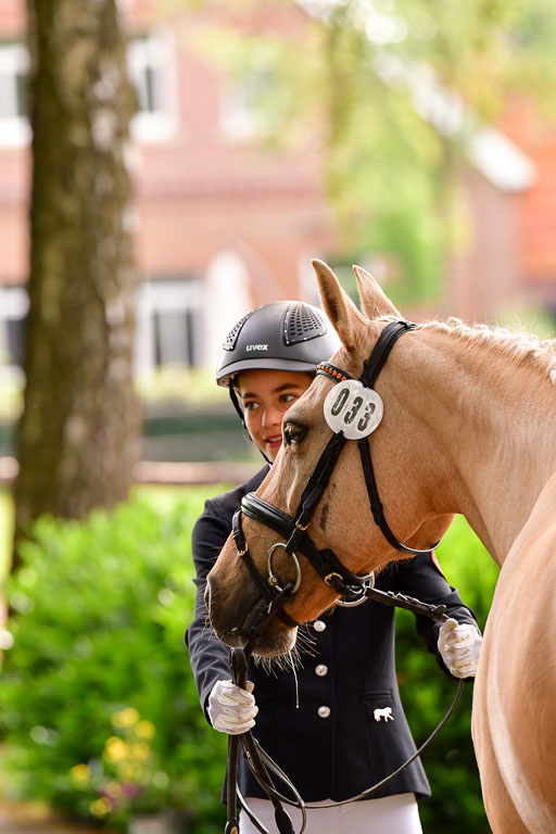 Goldene Schärpe Ponys in Löningen  4+5.6.22 | 05062022 Vormustern_180 