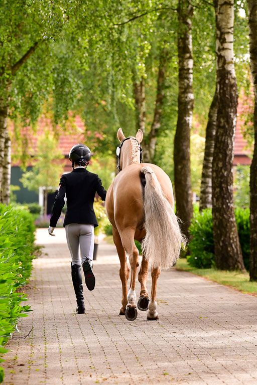Goldene Schärpe Ponys in Löningen  4+5.6.22 | 05062022 Vormustern_182 