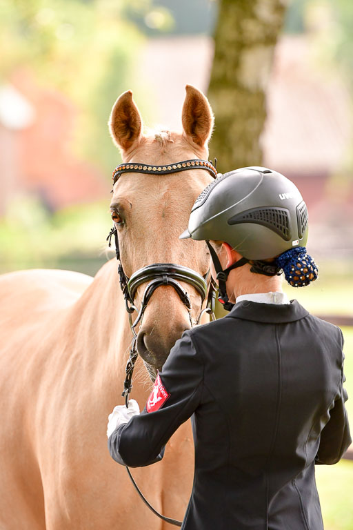 Goldene Schärpe Ponys in Löningen  4+5.6.22 | 05062022 Vormustern_186 