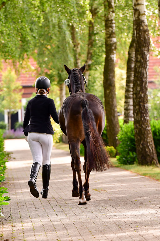 Goldene Schärpe Ponys in Löningen  4+5.6.22 | 05062022 Vormustern_192 