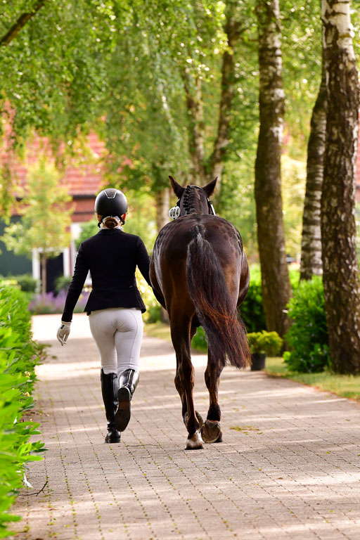 Goldene Schärpe Ponys in Löningen  4+5.6.22 | 05062022 Vormustern_193 