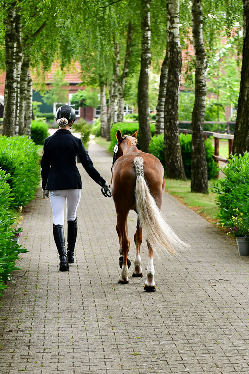 Goldene Schärpe Ponys in Löningen  4+5.6.22 | 05062022 Vormustern_205 