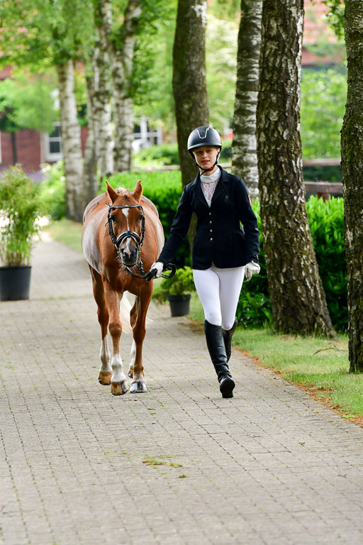 Goldene Schärpe Ponys in Löningen  4+5.6.22 | 05062022 Vormustern_206 