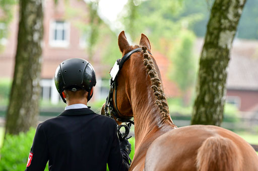 Goldene Schärpe Ponys in Löningen  4+5.6.22 | 05062022 Vormustern_213 