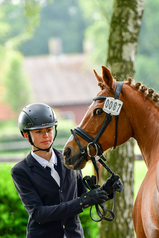 Goldene Schärpe Ponys in Löningen  4+5.6.22 | 05062022 Vormustern_214 