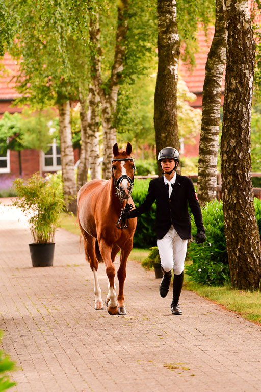 Goldene Schärpe Ponys in Löningen  4+5.6.22 | 05062022 Vormustern_216 