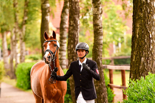 Goldene Schärpe Ponys in Löningen  4+5.6.22 | 05062022 Vormustern_217 