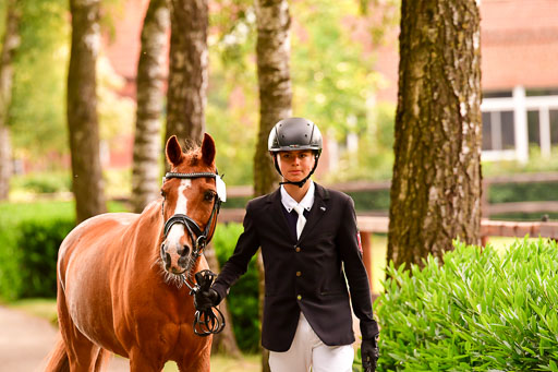 Goldene Schärpe Ponys in Löningen  4+5.6.22 | 05062022 Vormustern_218 