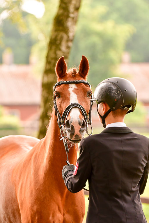 Goldene Schärpe Ponys in Löningen  4+5.6.22 | 05062022 Vormustern_219 