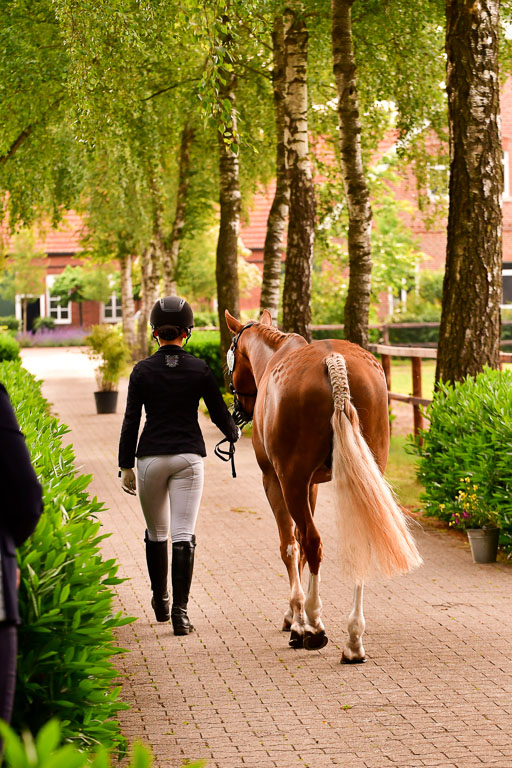 Goldene Schärpe Ponys in Löningen  4+5.6.22 | 05062022 Vormustern_222 