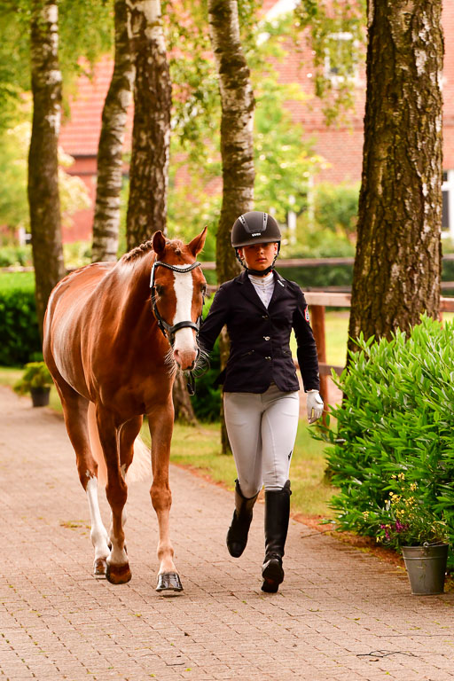 Goldene Schärpe Ponys in Löningen  4+5.6.22 | 05062022 Vormustern_225 