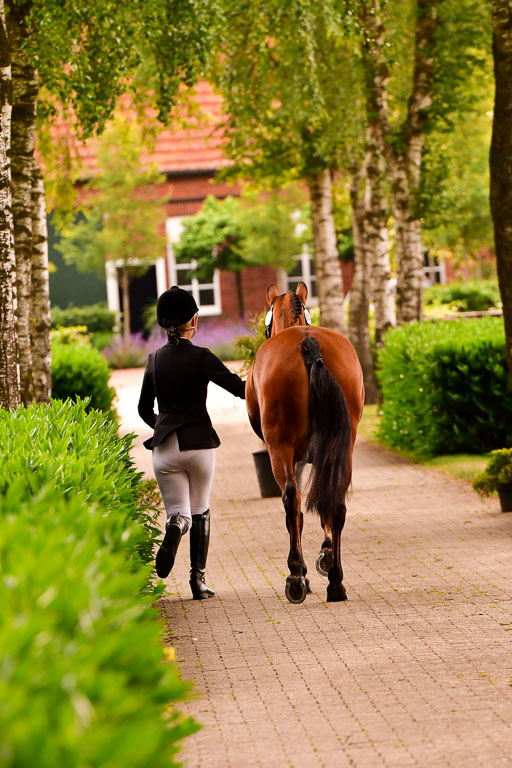 Goldene Schärpe Ponys in Löningen  4+5.6.22 | 05062022 Vormustern_231 