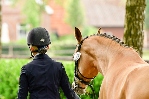 Goldene Schärpe Ponys in Löningen  4+5.6.22 | 05062022 Vormustern_235 