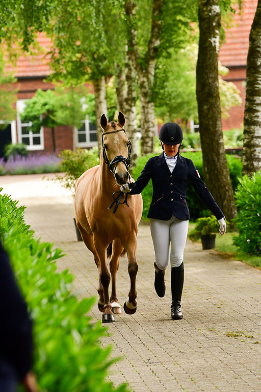 Goldene Schärpe Ponys in Löningen  4+5.6.22 | 05062022 Vormustern_240 
