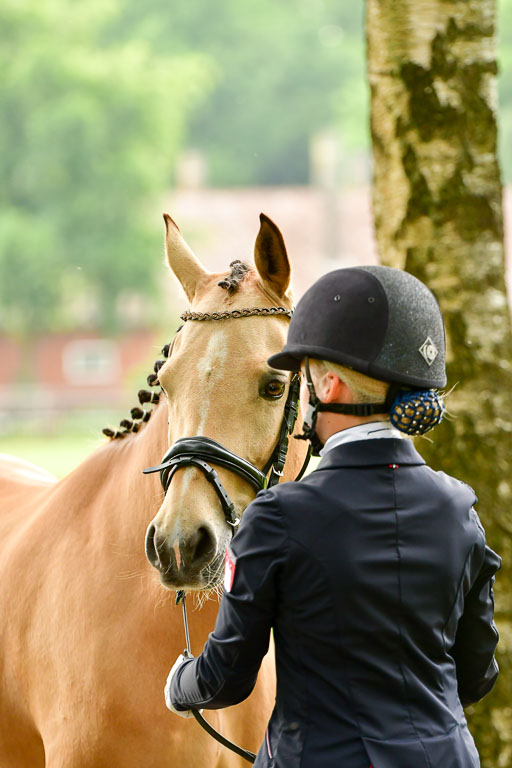 Goldene Schärpe Ponys in Löningen  4+5.6.22 | 05062022 Vormustern_241 