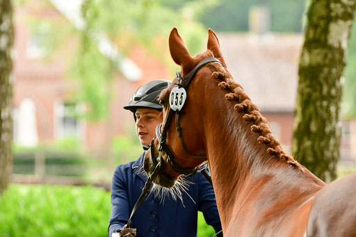 Goldene Schärpe Ponys in Löningen  4+5.6.22 | 05062022 Vormustern_244 
