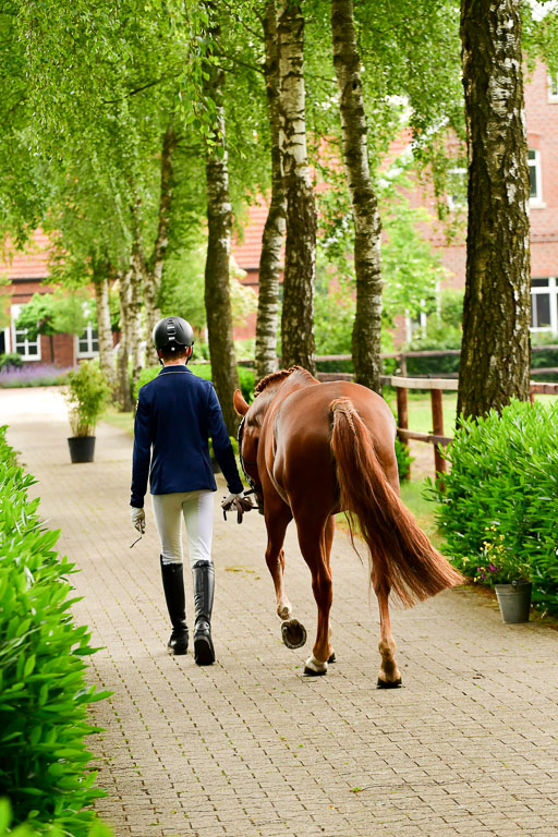 Goldene Schärpe Ponys in Löningen  4+5.6.22 | 05062022 Vormustern_245 