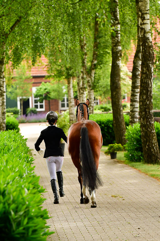 Goldene Schärpe Ponys in Löningen  4+5.6.22 | 05062022 Vormustern_253 