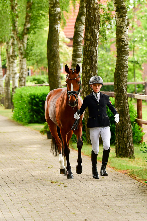 Goldene Schärpe Ponys in Löningen  4+5.6.22 | 05062022 Vormustern_254 