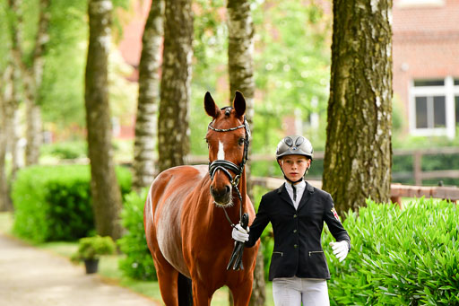 Goldene Schärpe Ponys in Löningen  4+5.6.22 | 05062022 Vormustern_255 