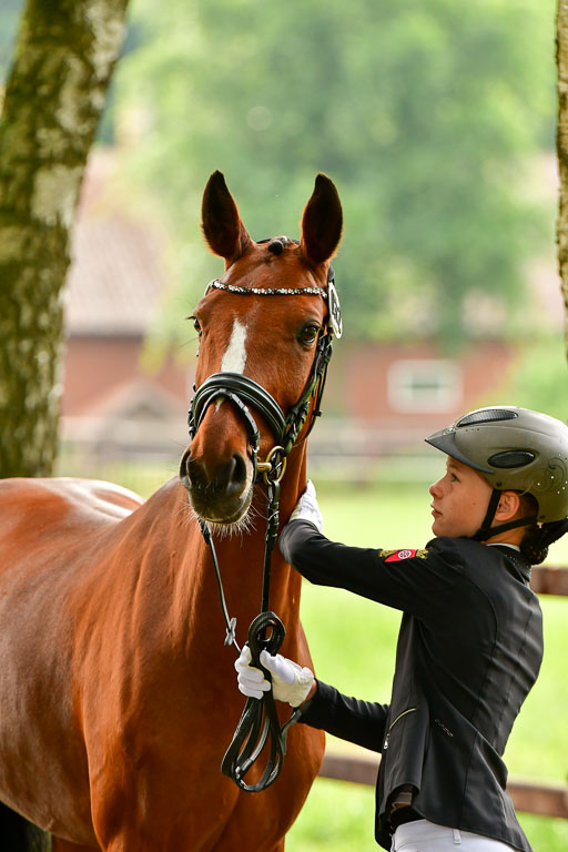 Goldene Schärpe Ponys in Löningen  4+5.6.22 | 05062022 Vormustern_257 