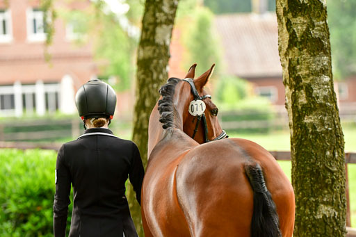 Goldene Schärpe Ponys in Löningen  4+5.6.22 | 05062022 Vormustern_260 