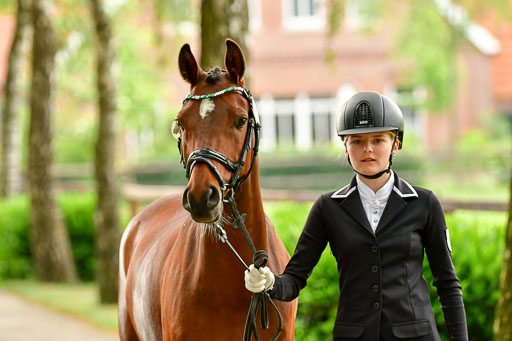 Goldene Schärpe Ponys in Löningen  4+5.6.22 | 05062022 Vormustern_265 